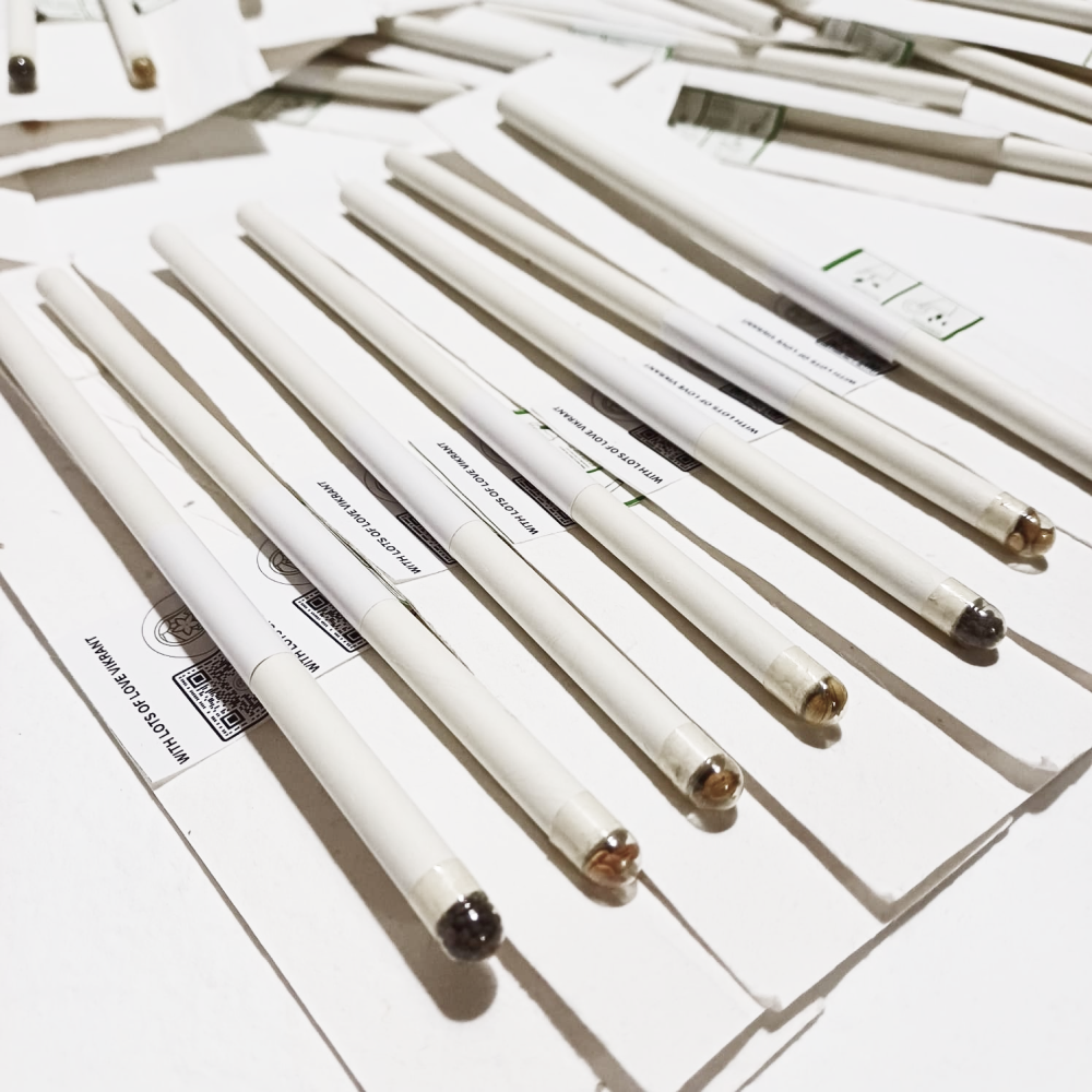 PLANTABLE PENCILS (SET OF 50 MIX VARIETY)